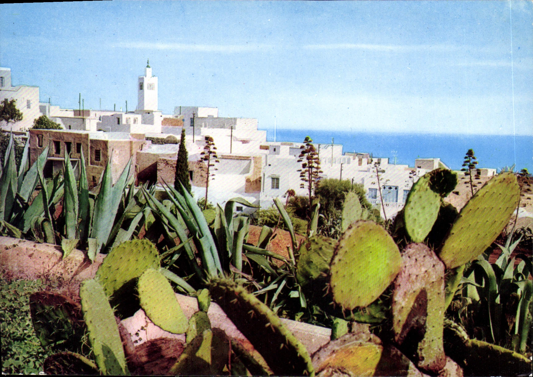 CPM Sidi Bou Said Vue Generale 