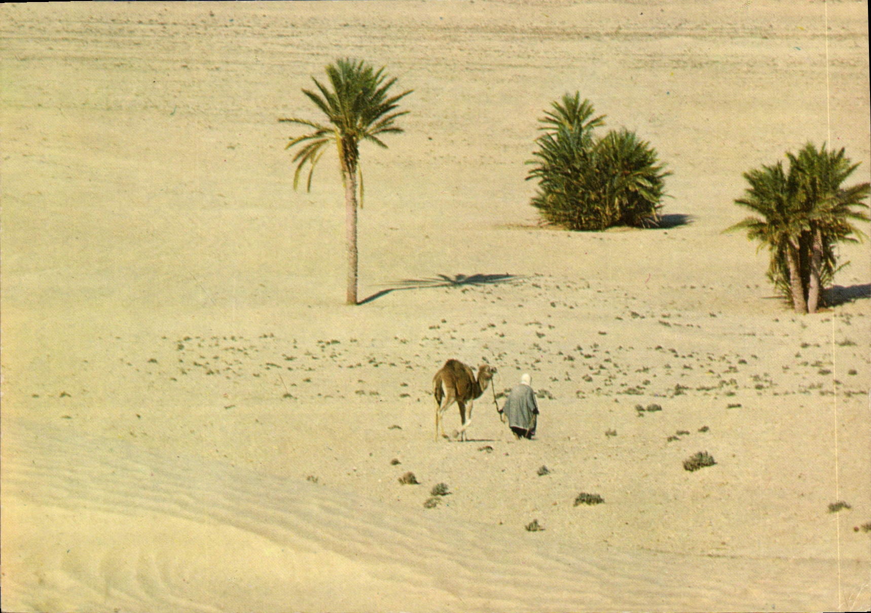 CPM Sud Tunisien Vers le Sahara 