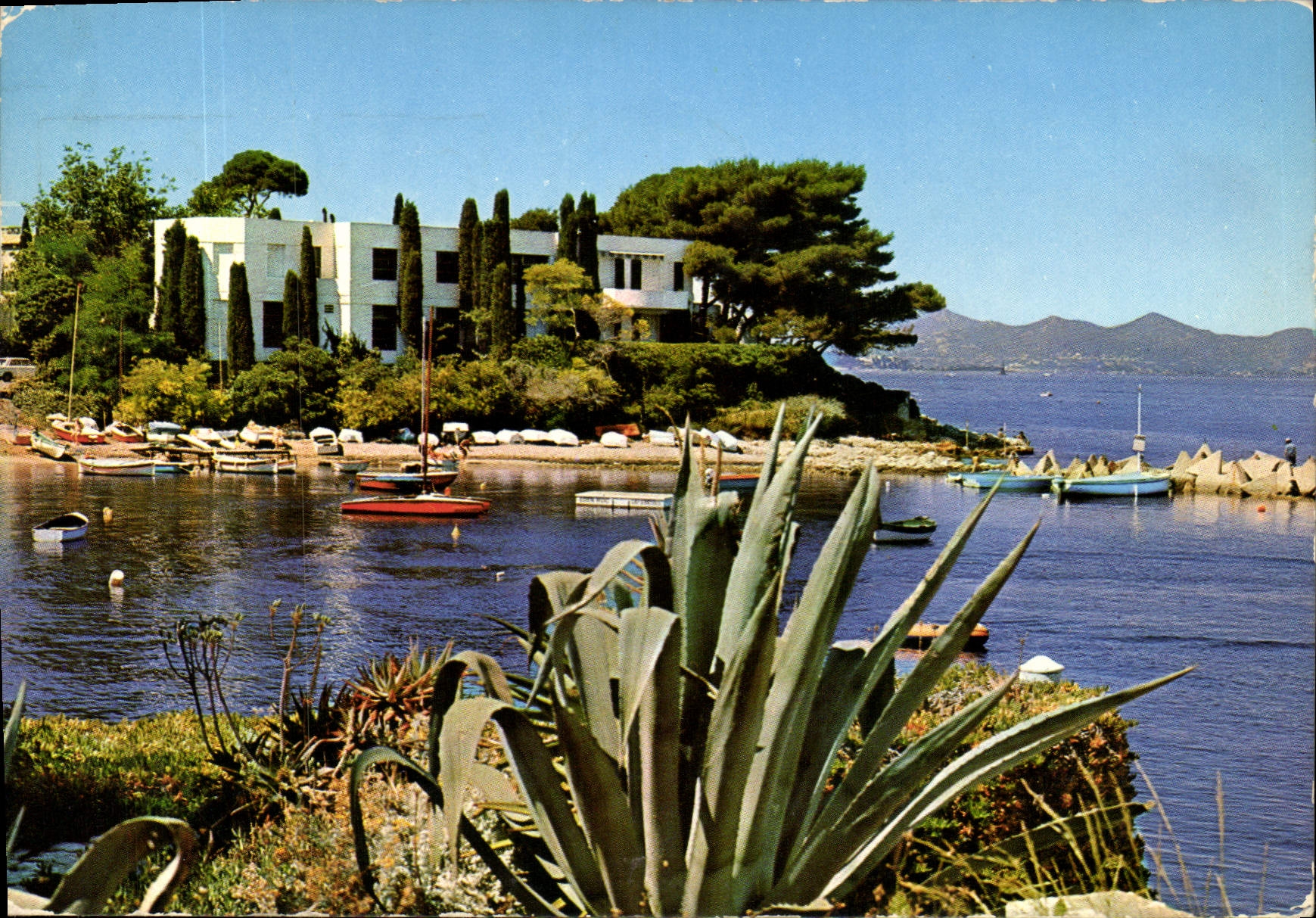 CPM Cote d'Azur Cap d'Antibes Juan Les Pins le Petit Part 