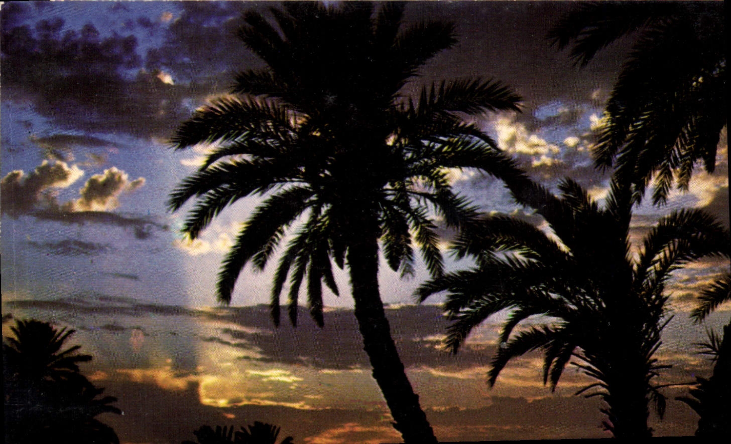 CPM La Cote d'Azur inoubliable