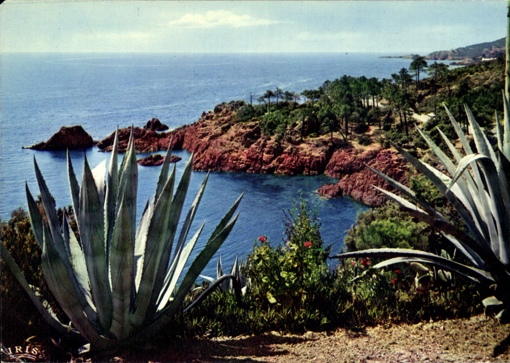 CPM Reflets de la Cote d'Azur La Corniche d'Or Rivages Mediterraneens