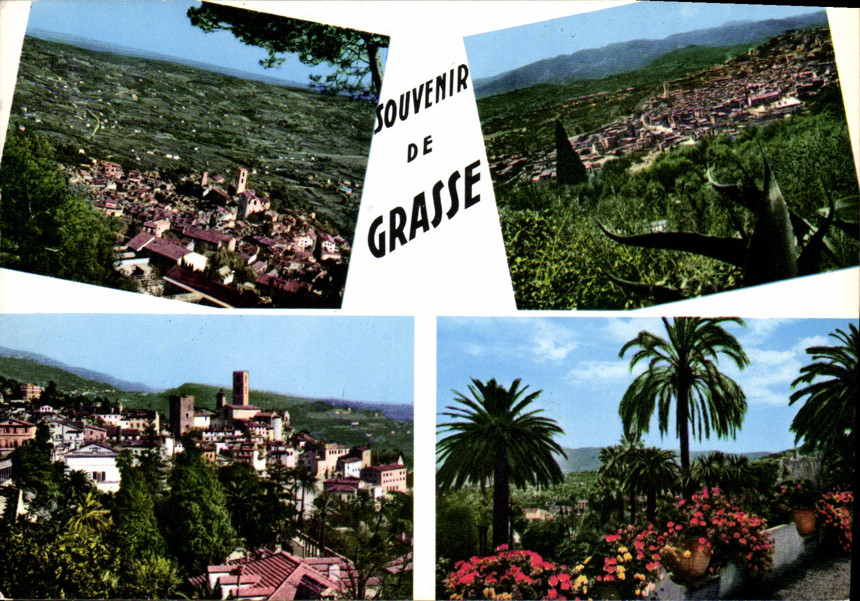 CPM Souvenir de Grasse 