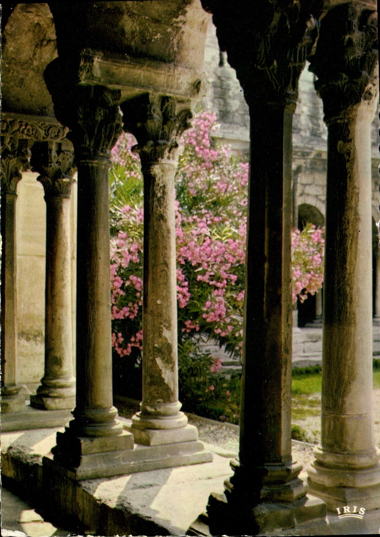 CPM Reflets de Provence Arles B du R Le Cloitre de St Trophime