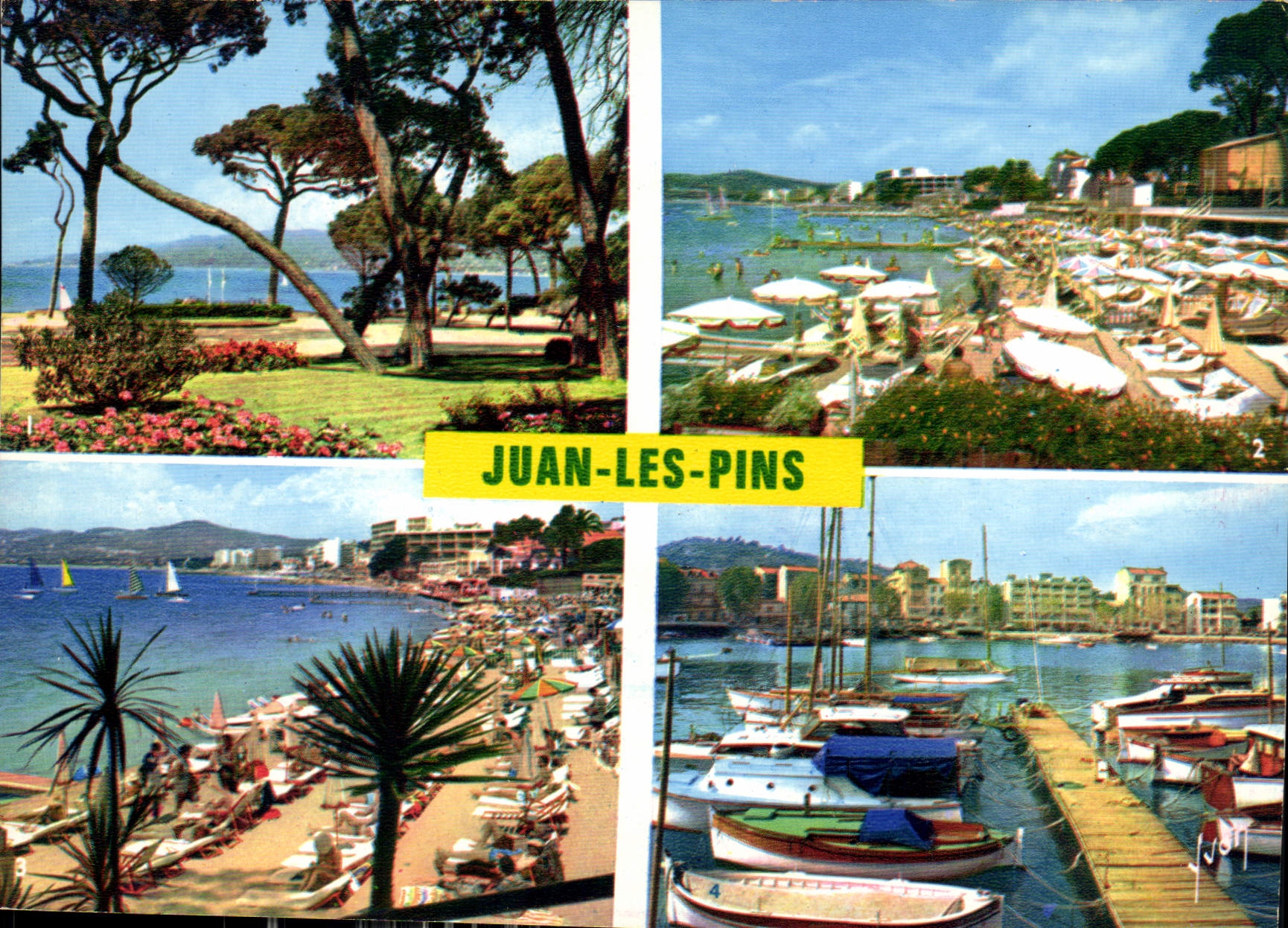 CPM La Cote d'Azur miracle de la nature Juan les Pins Alpes Maritimes