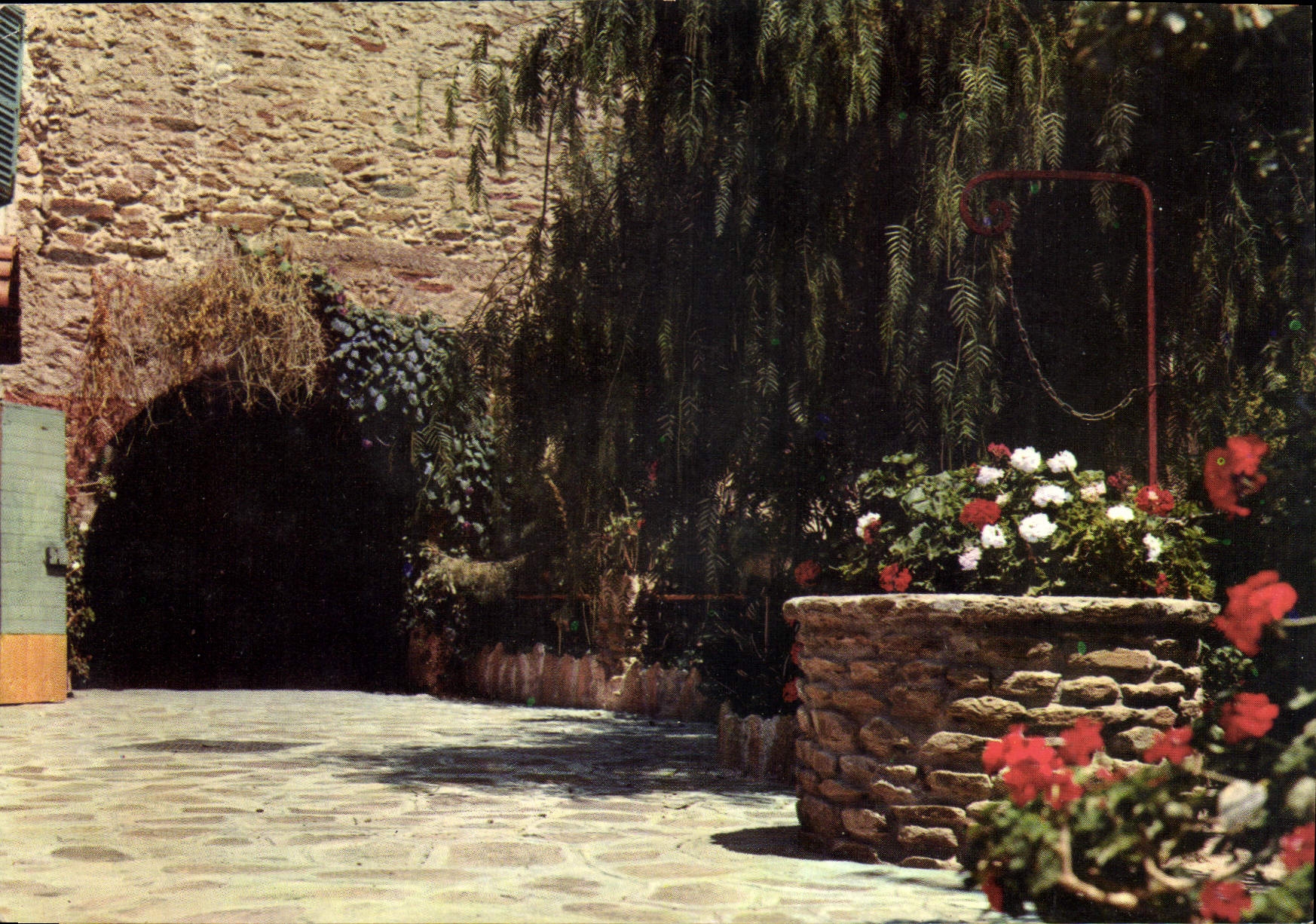 CPM La Cote d'Azur Cote Pittoresque 