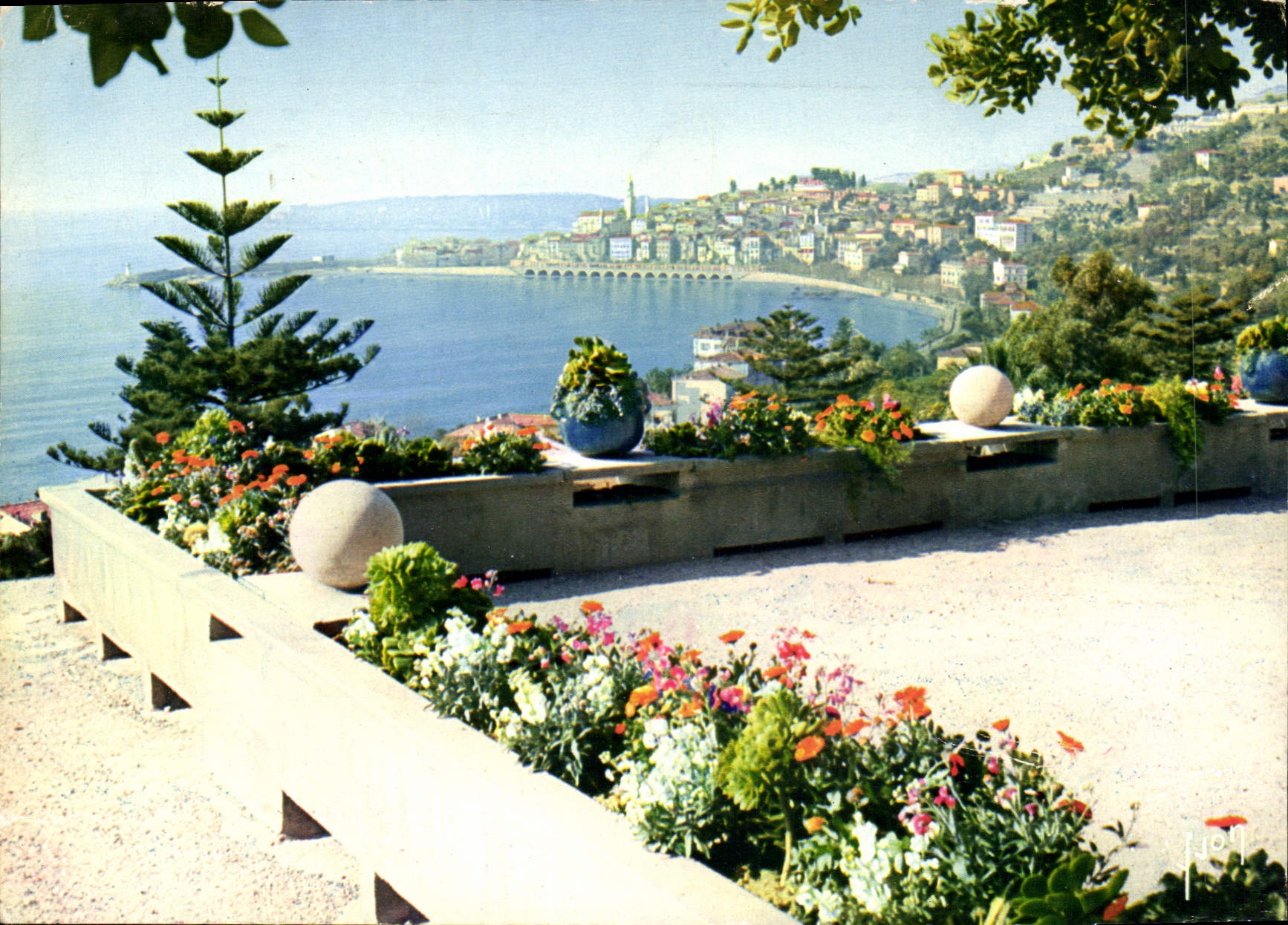 CPM La Cote d'Azur miracle de la nature Menton Alpes Maritimes Le Port et la vieille ville des du Bo