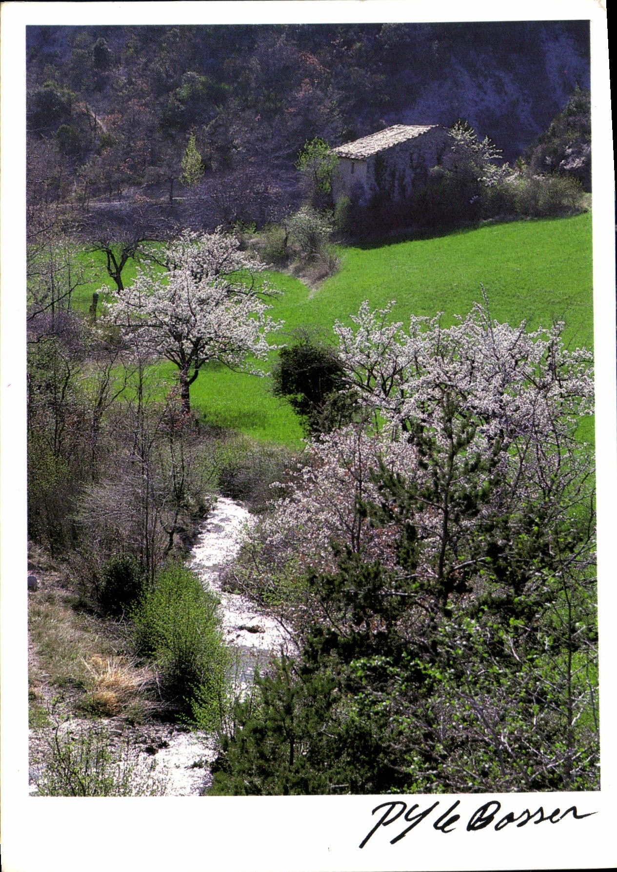 CPM Le Prin Temps Fleuri l'Eyguemarse