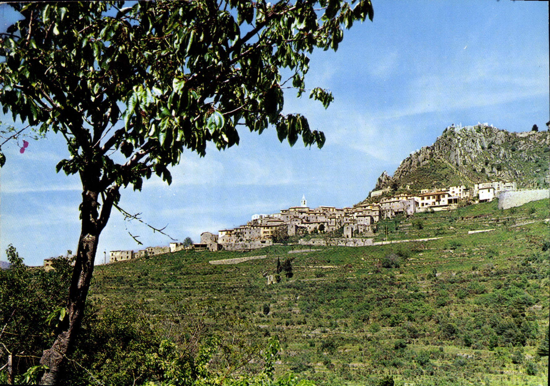 CPM La Cote d'Azur Sainte Agnes Le Village du littoral le plus haut d'Europe de la mer Vue generale 