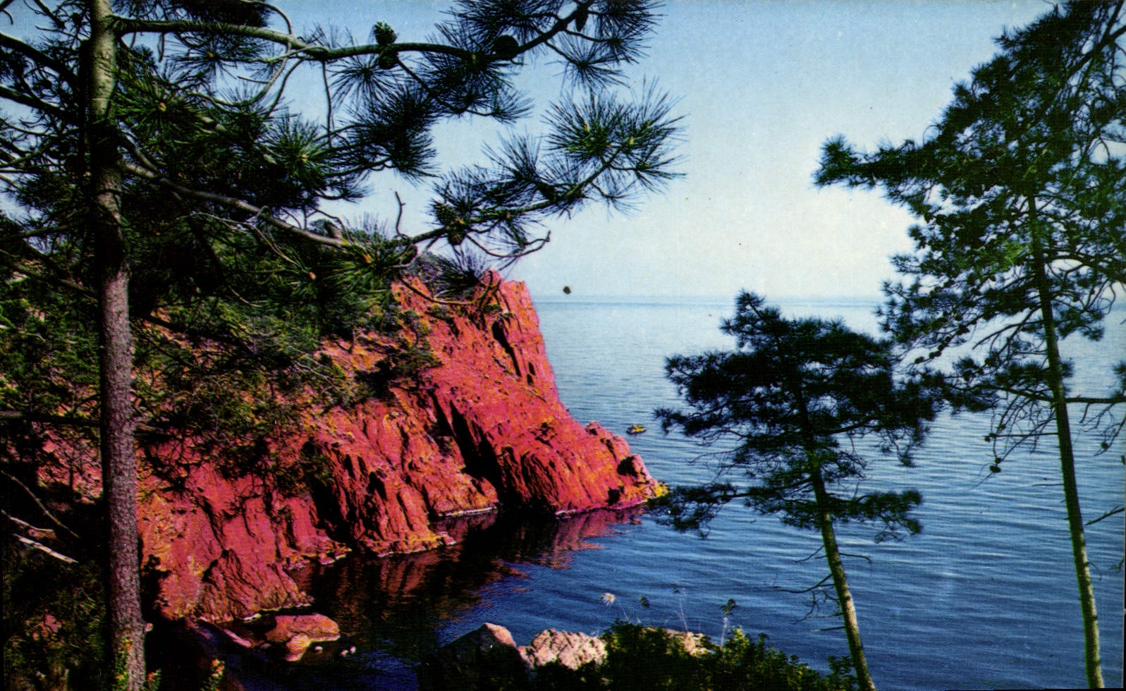 CPM Charme et Soleil de la Cote d'Azur Paradis mediterraneen Les roches rouges 
