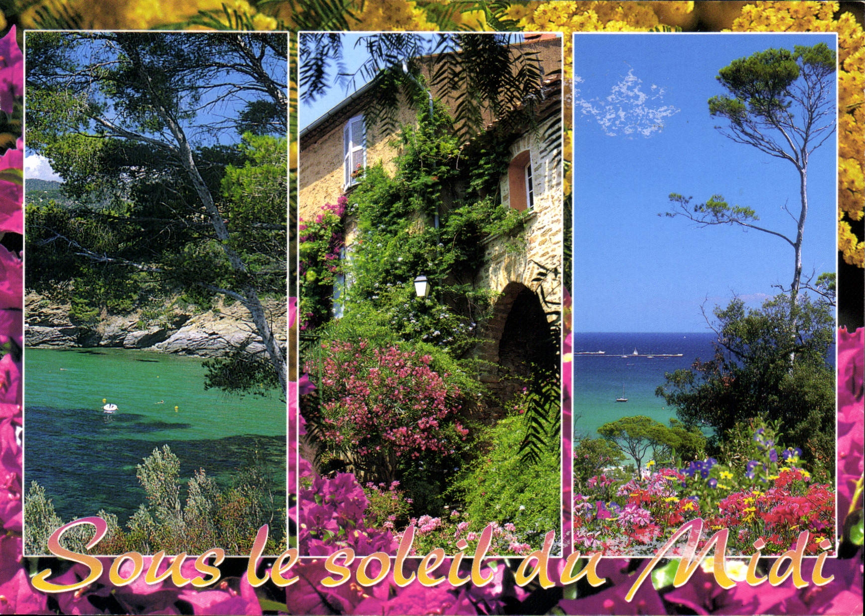 CPM Sous le Soleil du Midi 