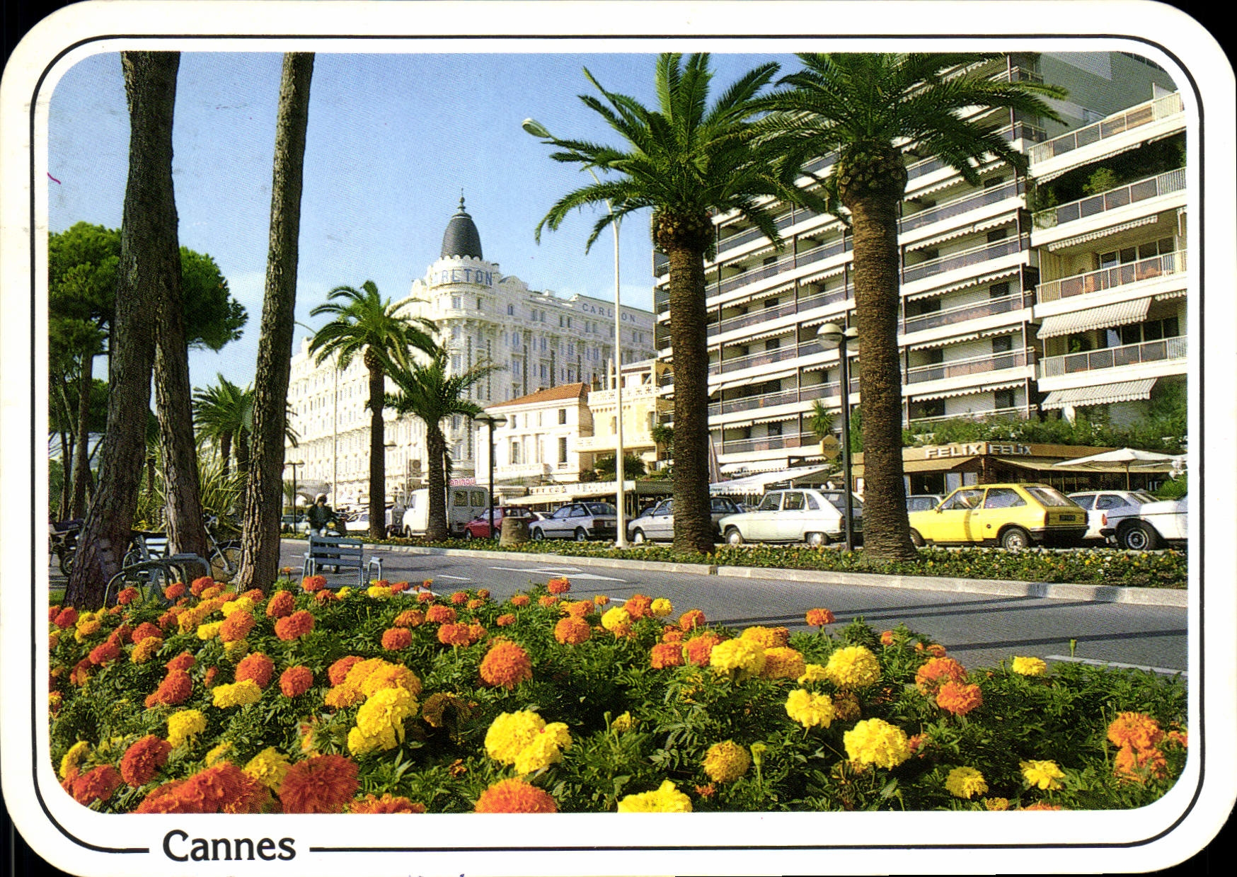 CPM Reflets de la Cote d'Azur Cannes La Croisette 