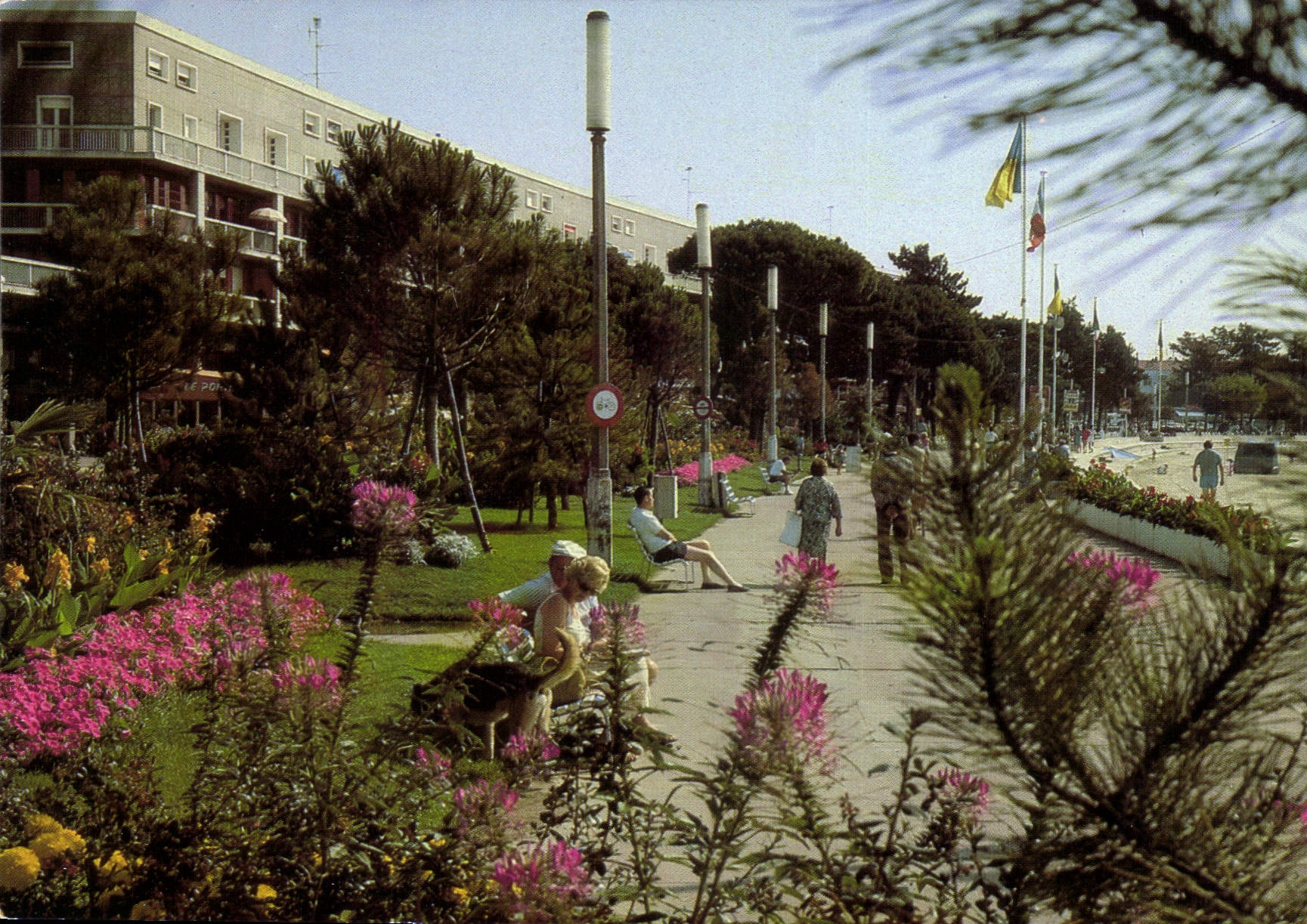CPM Royan Les Jardins du Front de Mer 
