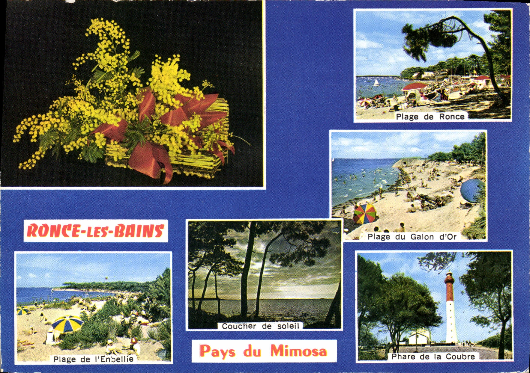 CPM Ronce les Bains Charente Maritime