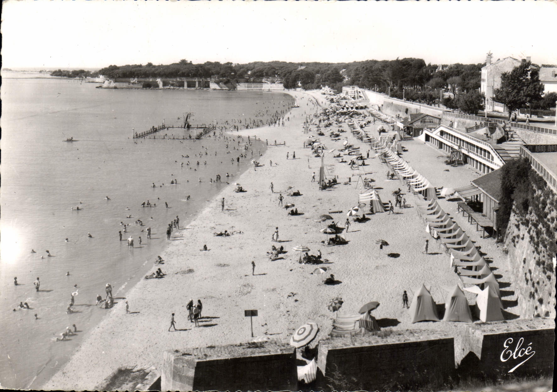 CPM Fouras La Plage A gauche la Piscine 