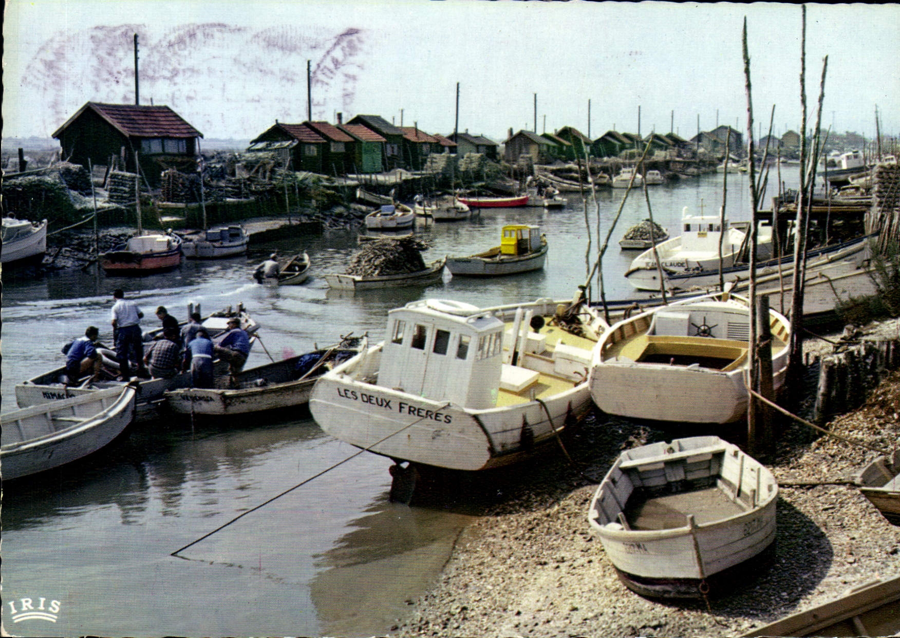 CPM La Tremblade Charente Maritime Le Port Bateaux de peche