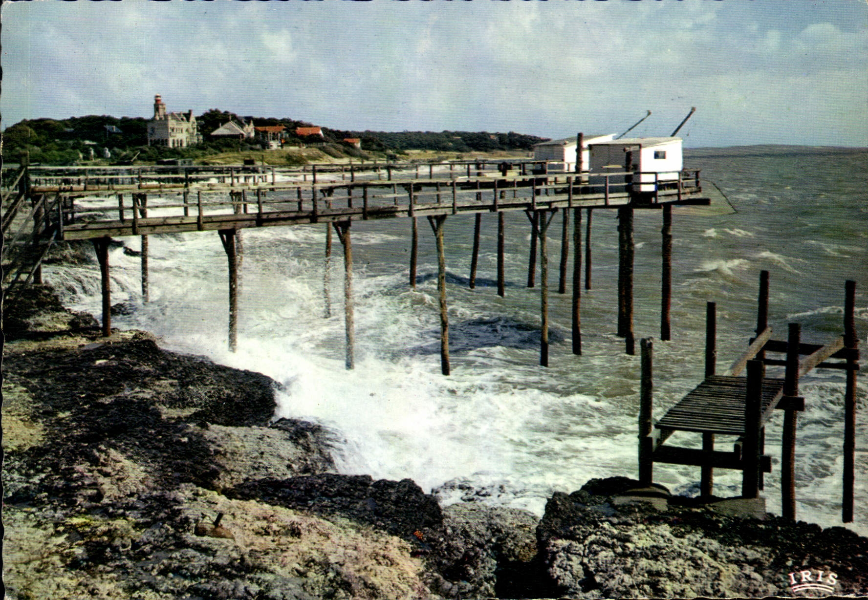 CPM Cote de Beaute La Grande Cote Le Concie 