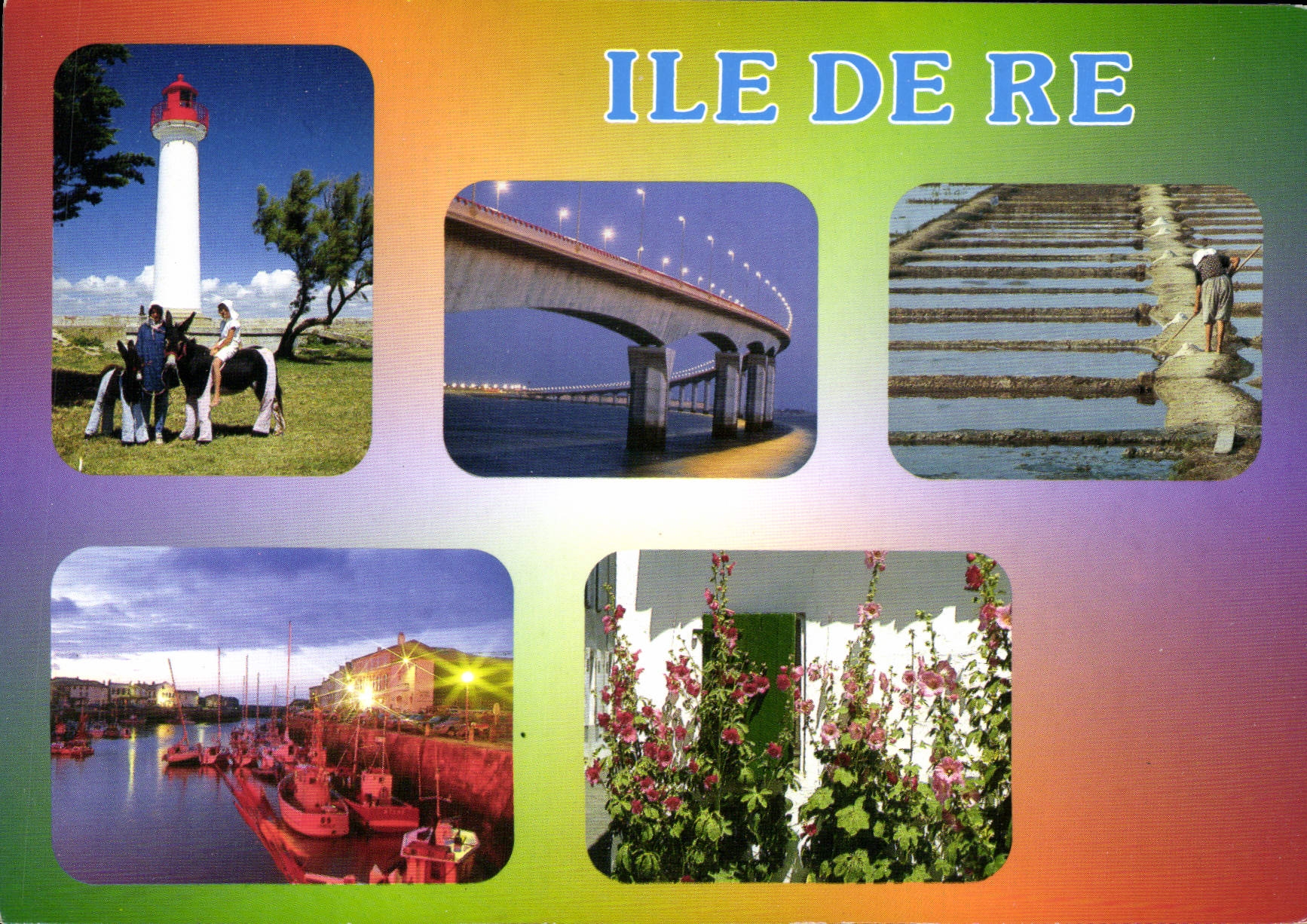 CPM Charente Maritime Ile de Re 