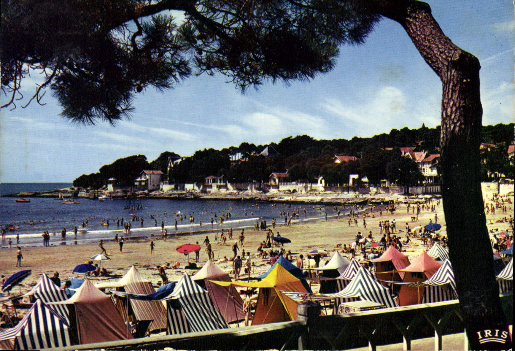 CPM Cote de Beaute Saint Palais Sur Mer La Plage 