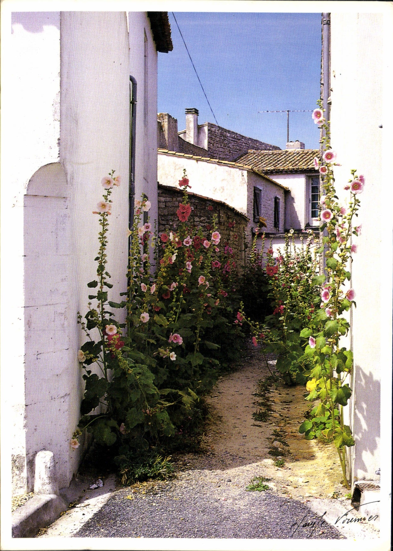 CPM Ile de Re Sainte Marie de Re 