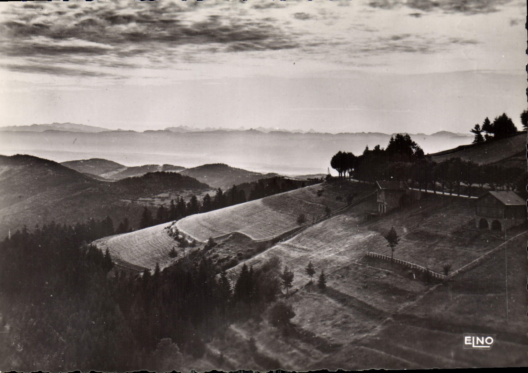 CPM La Louvesc Ardeche Paysage sur la Chaine des Alpes Le Boulevard des Elegants et la Foret