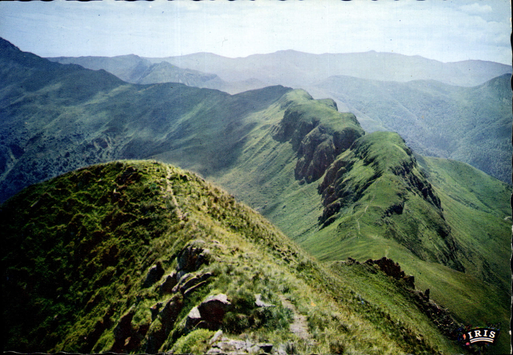 CPM Le Cantal Pittoresque Le Puy Mary