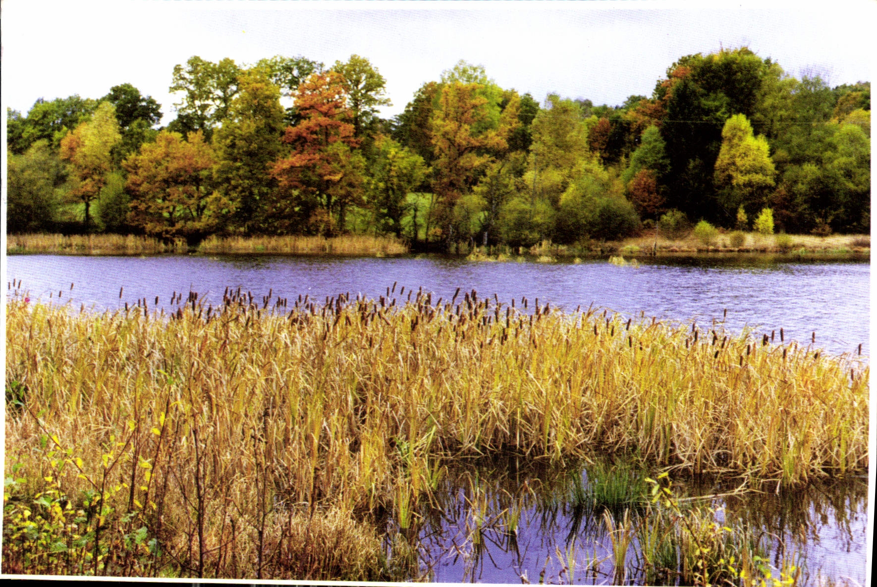 CPM Images de nos Campagnes 