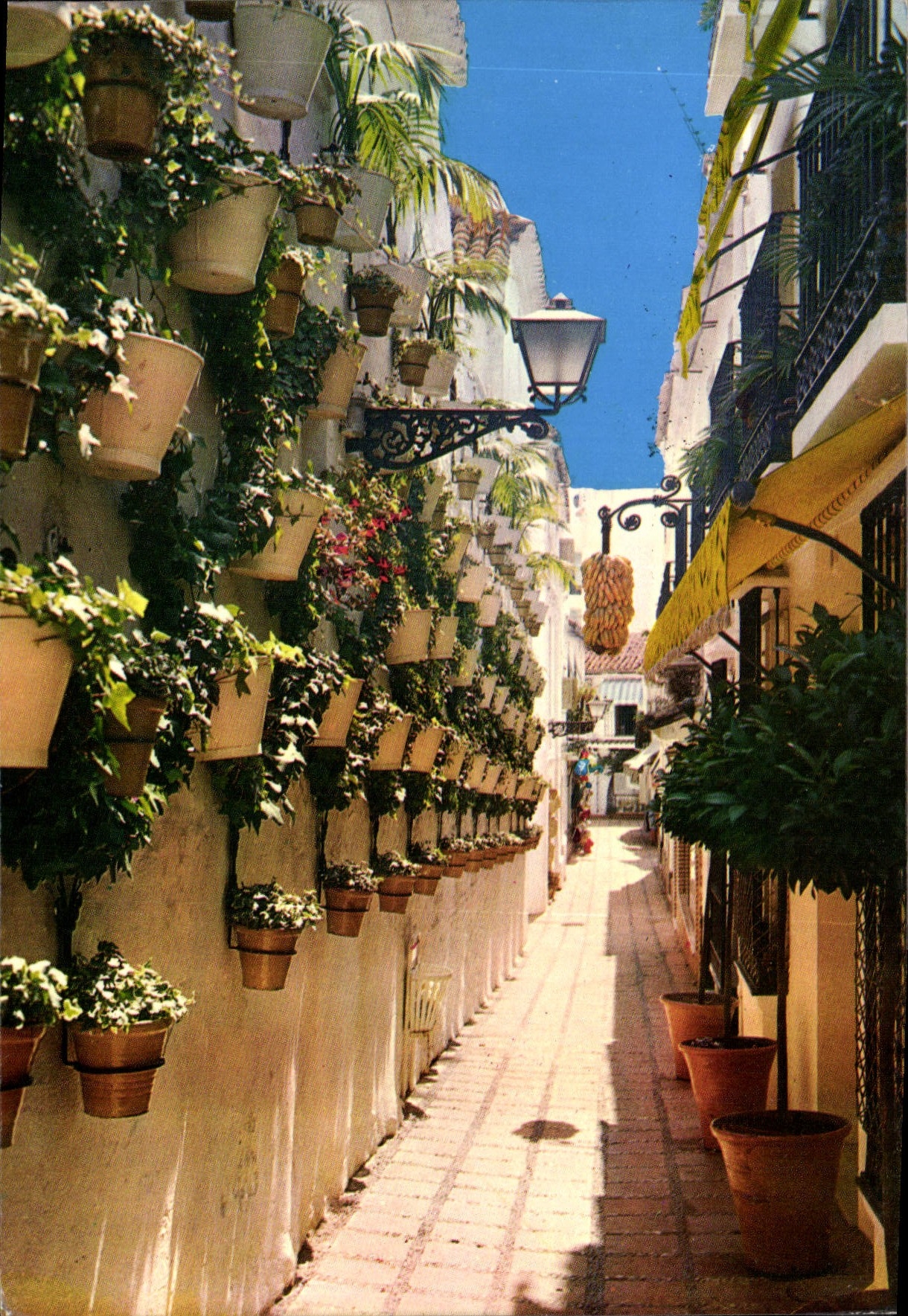 CPM Marbella Malaga Calle Tipica Rue Tipique