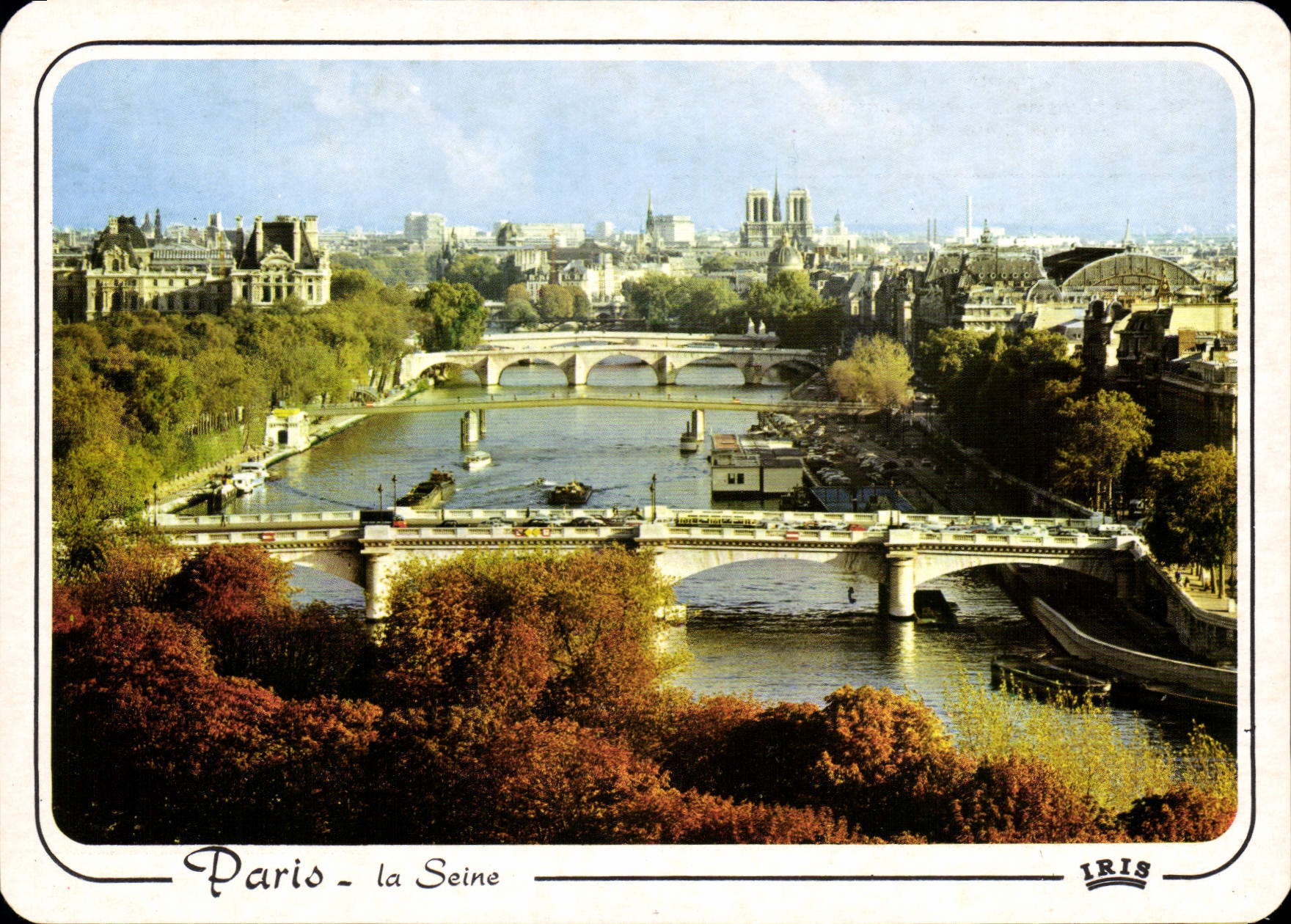 CPM Les bords de la Seine en automne Au loin Notre Dame 