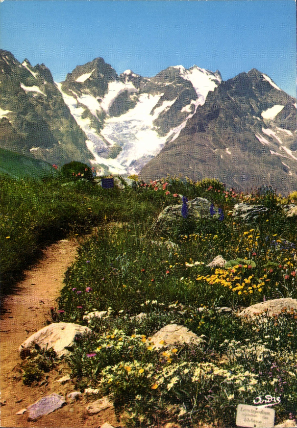 CPM Route de Grenoble a Briancon Le Jardin Alpin au Col du Lautaret et Mas sif de la Meije 