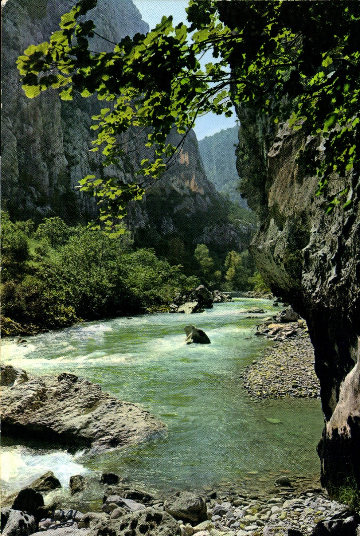 CPM Les Gorges Pittorestiques de Verdon