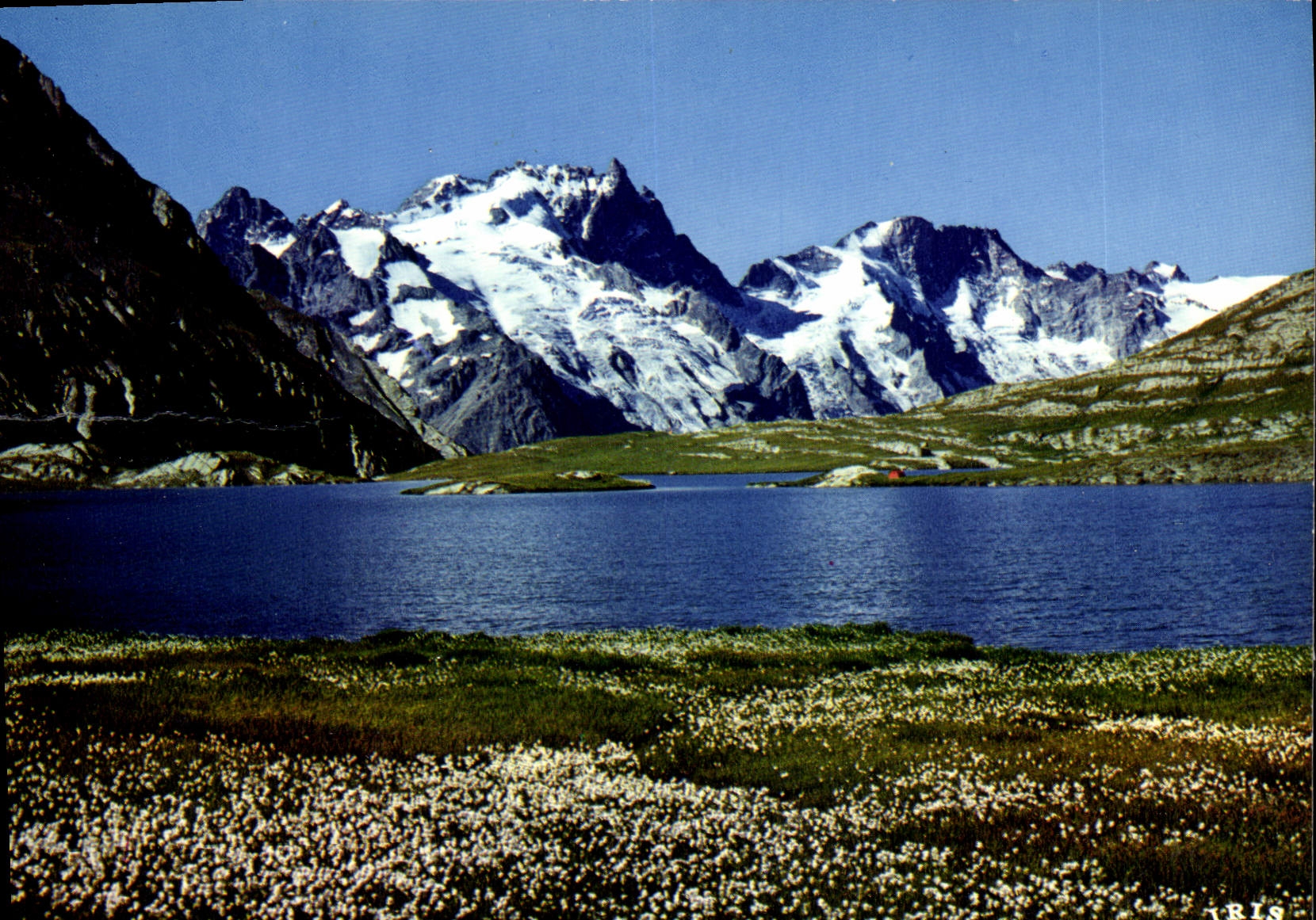 CPM En Oisans Les Linaigrettes bord du Goleon La Meije et le Rateau 