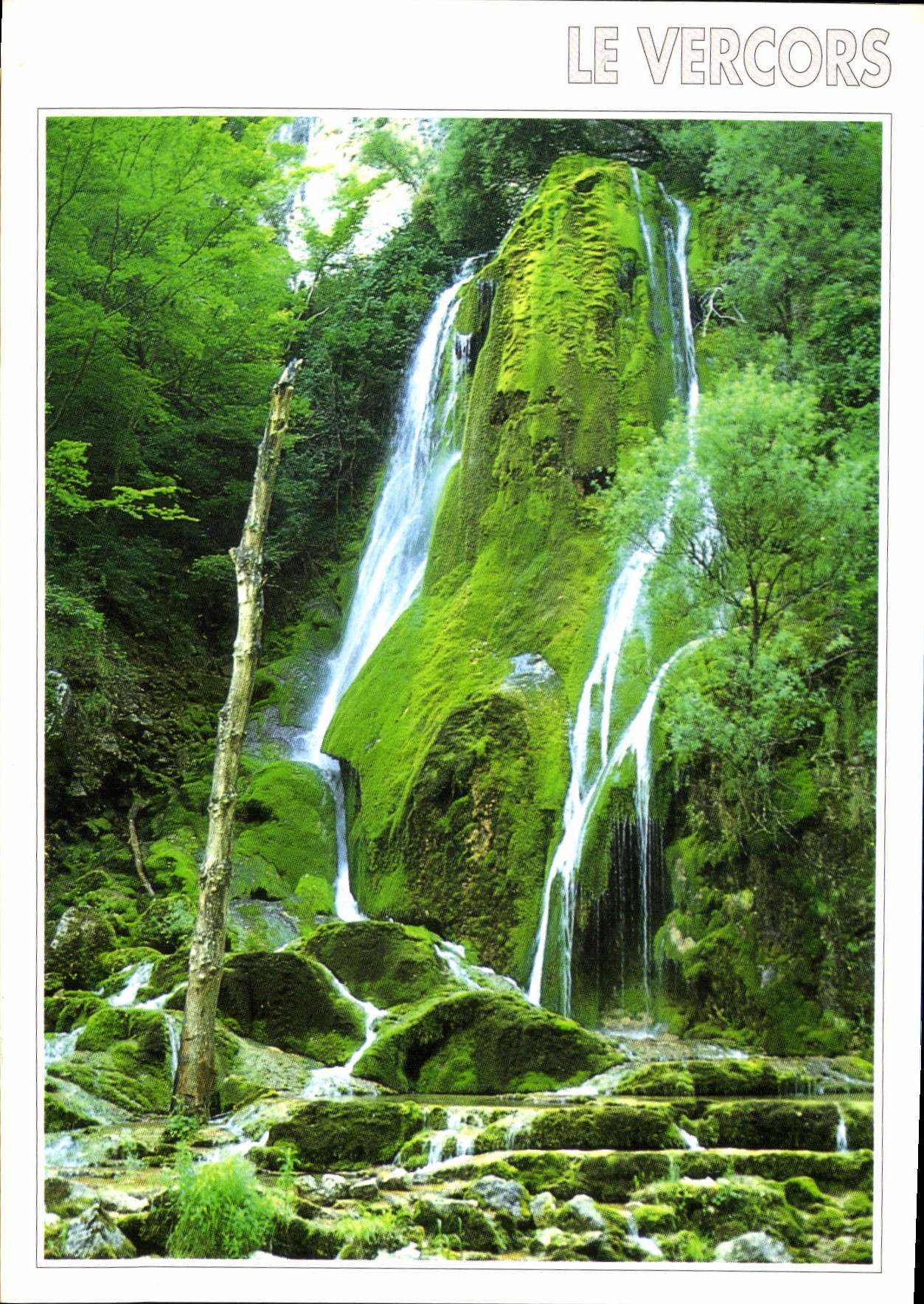 CPM Images de France Isere La Cascade Verte 