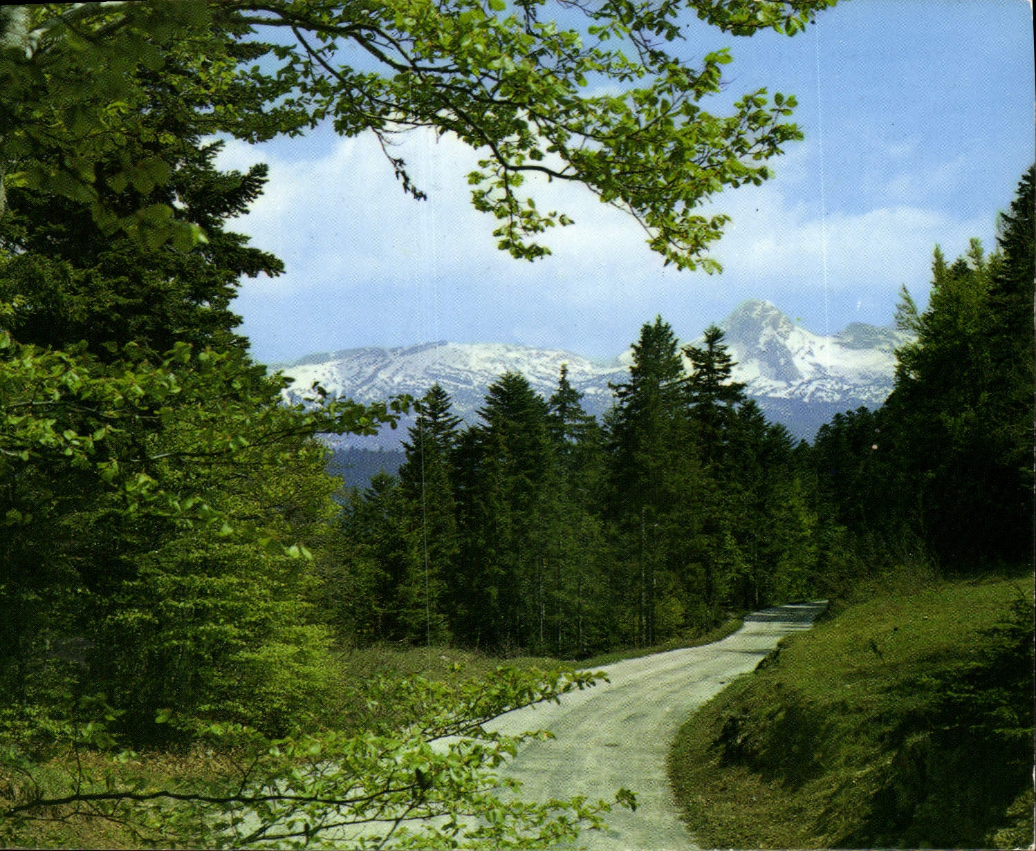 CPM Les Alpes Pittoresques Villard de Lans