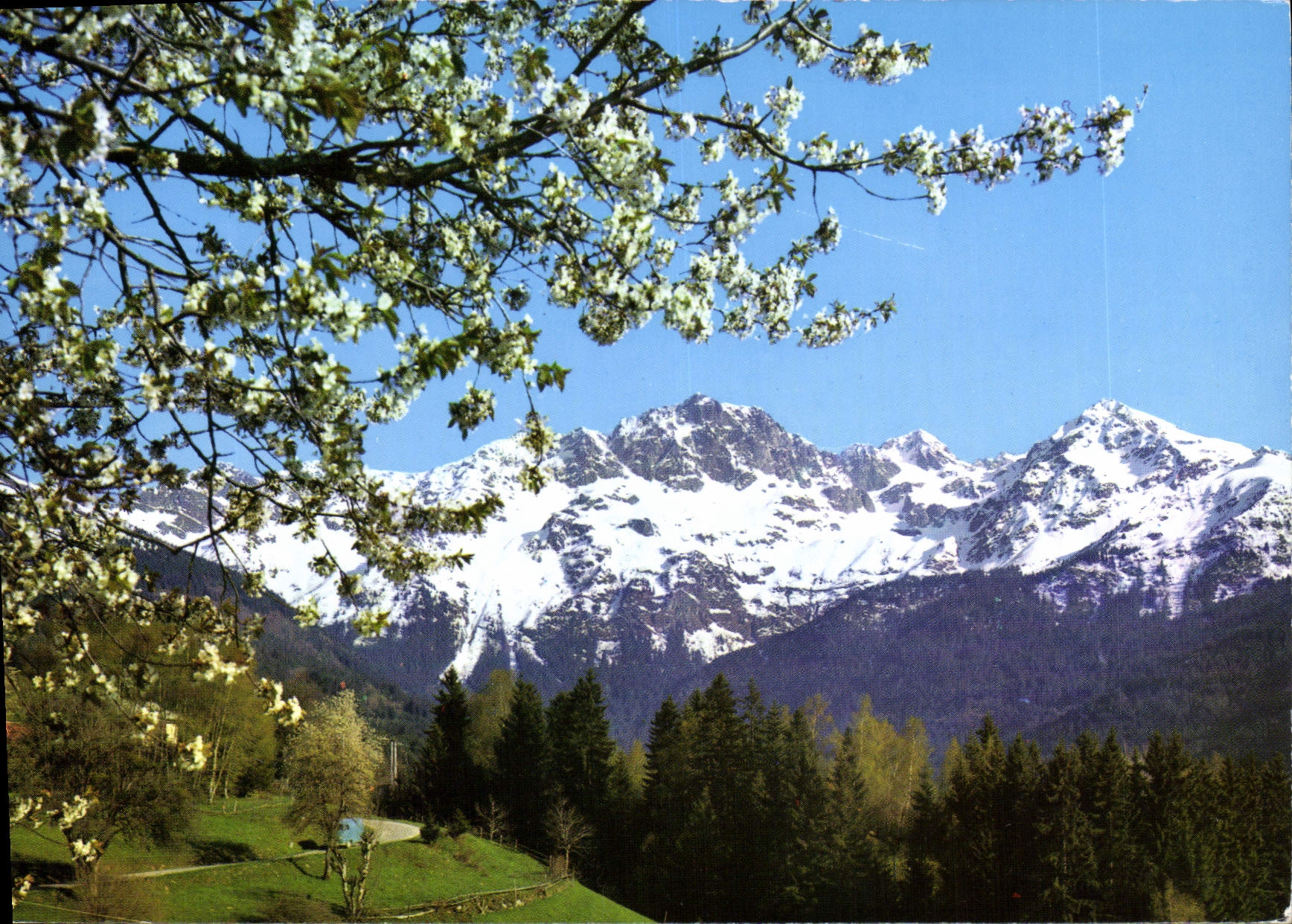 CPM Les Alpes Tour L'Oisans 