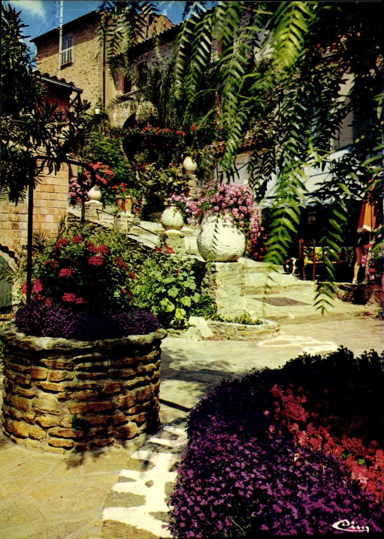 CPM Cote d'Azur le Pouli Canto 