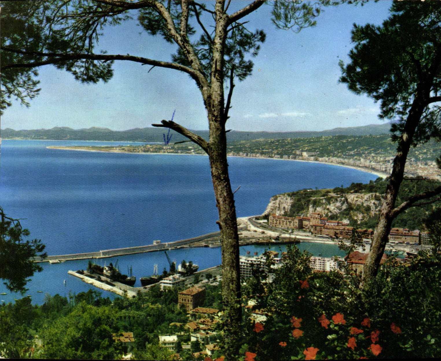 CPM Nice vue prise du Mont Boron 