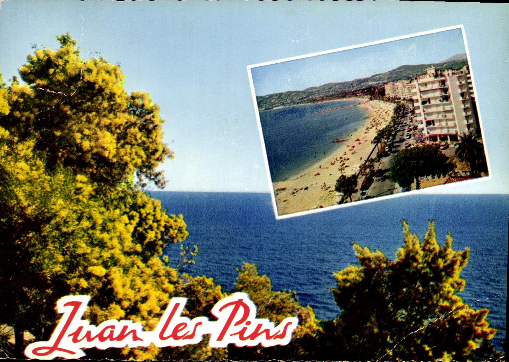 CPM Reflets de la Cote d'Azur Juan les Pins A Mmes