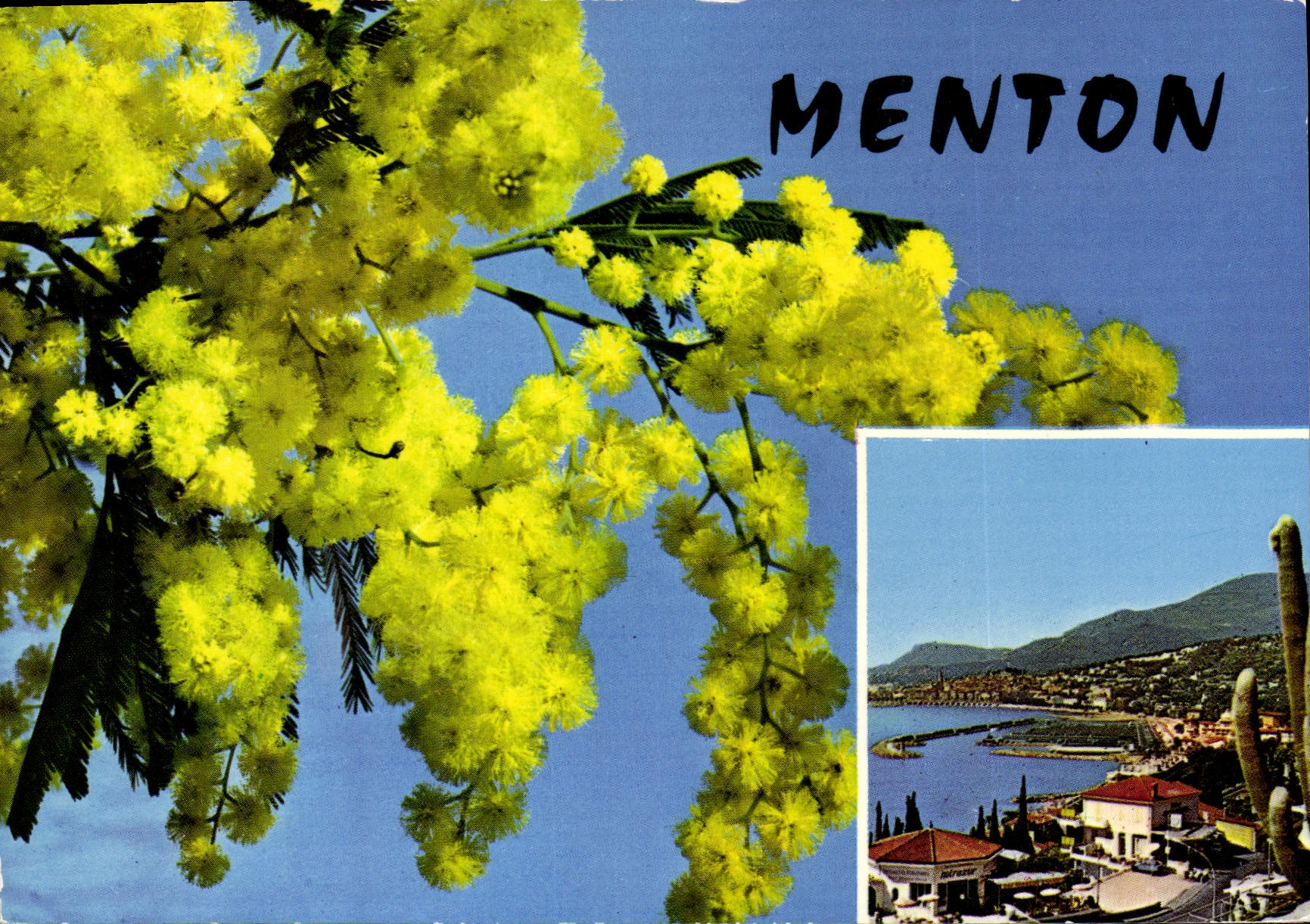 CPM Menton Souvenir de Menton 