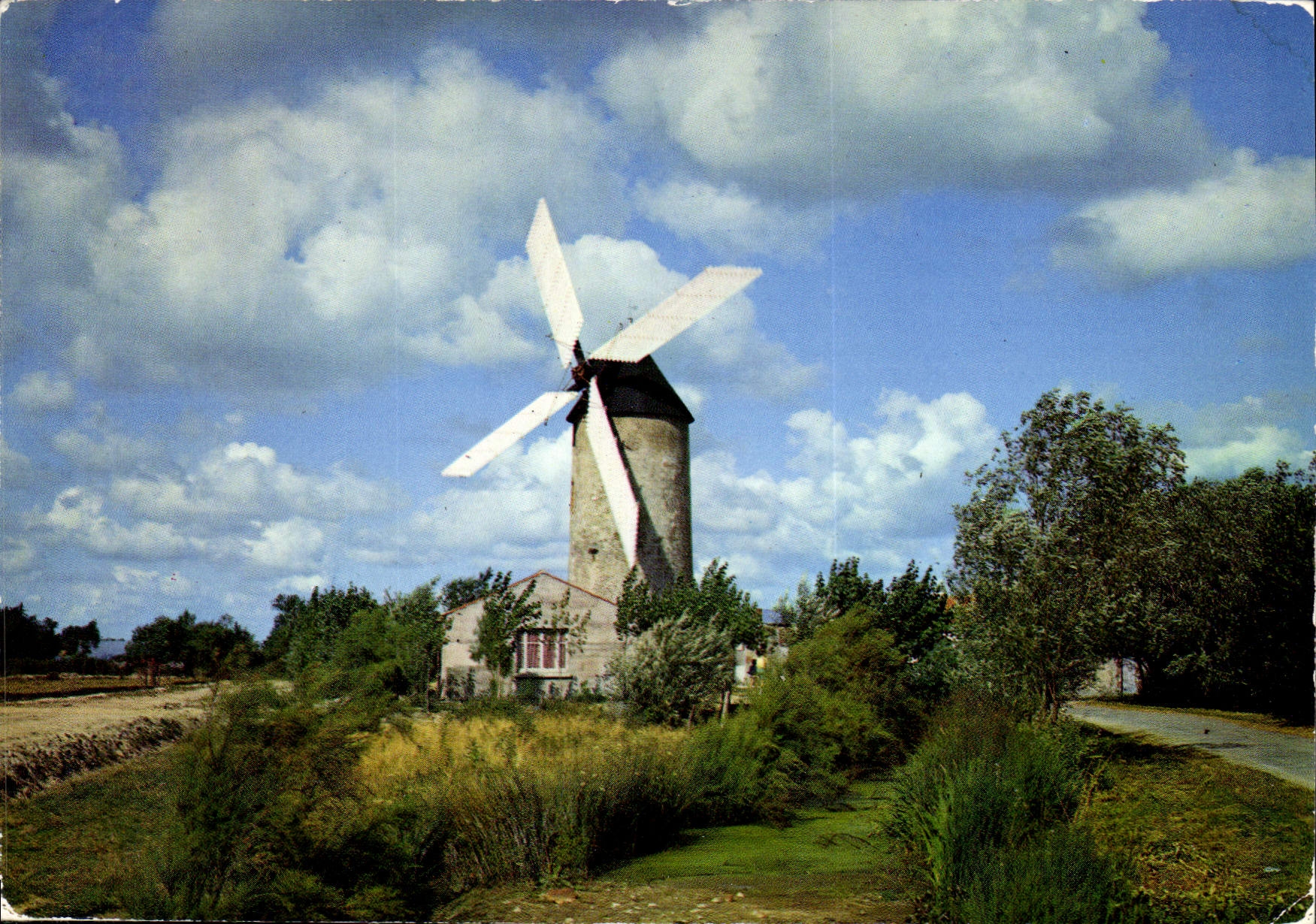CPM La Vendee Touristique Moulin dans le Marais Moulin de raire Sallertaine Dernier Moulin a Vent en
