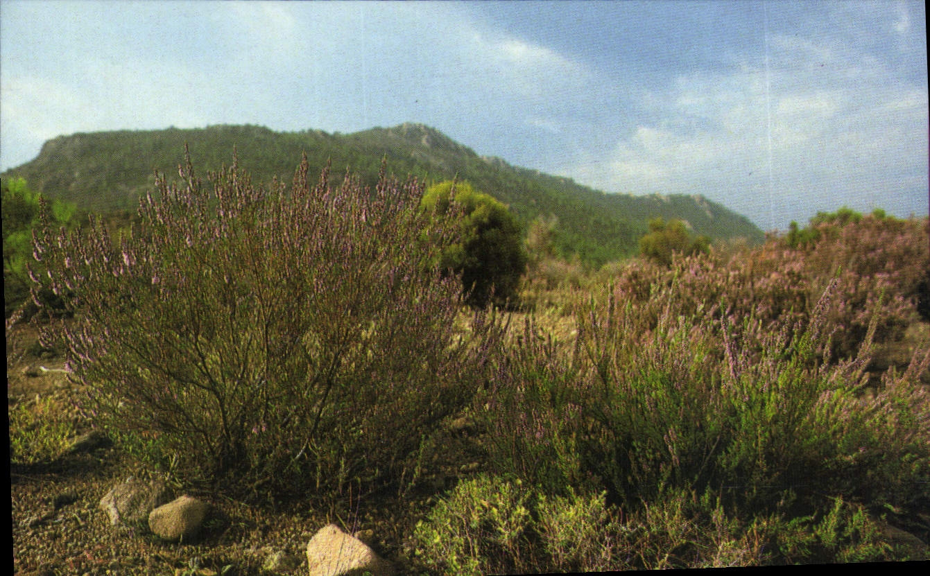 CPM L'Esterel le Massif 