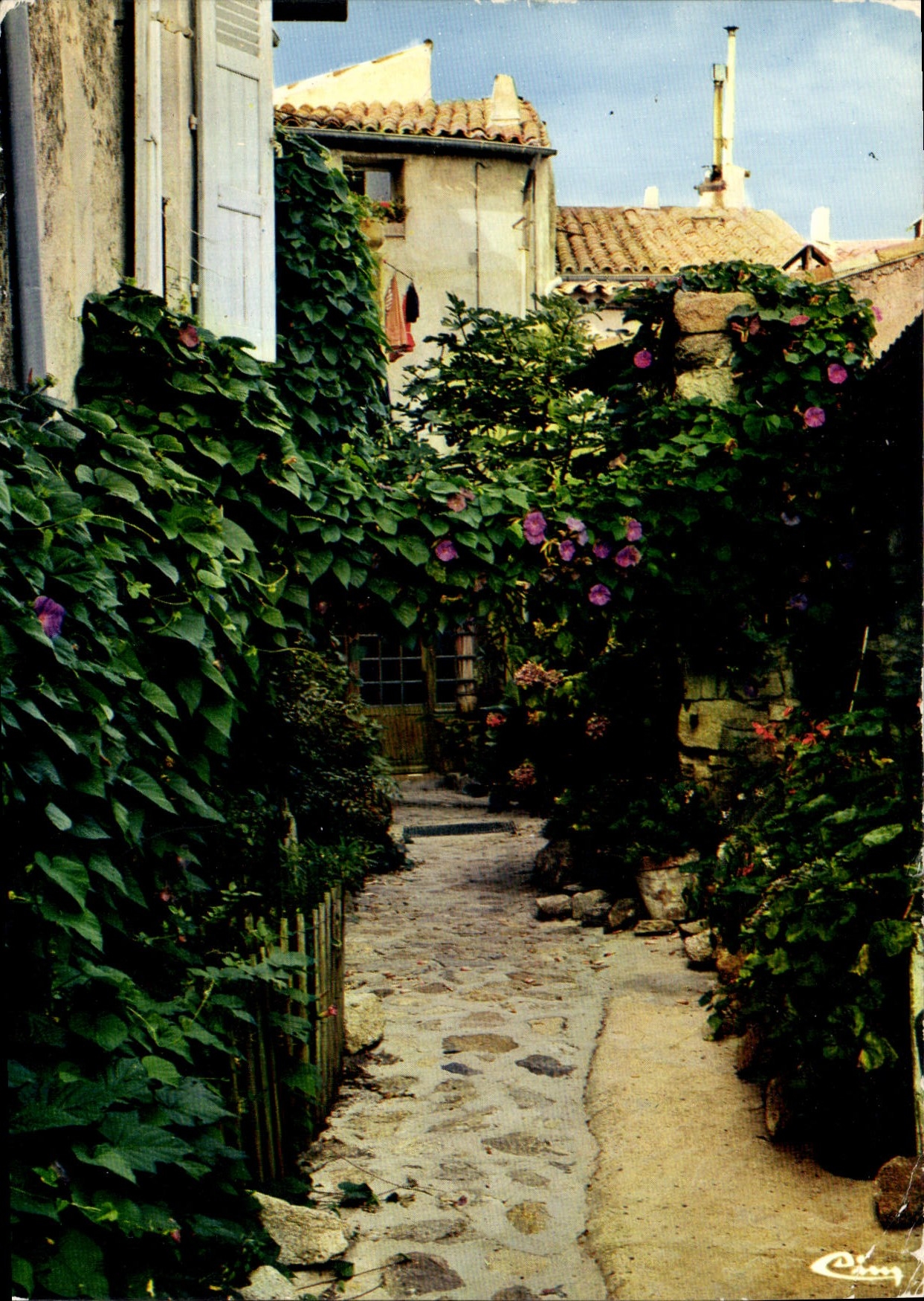 CPM Ramatuelle Var Rue des Amoureux 