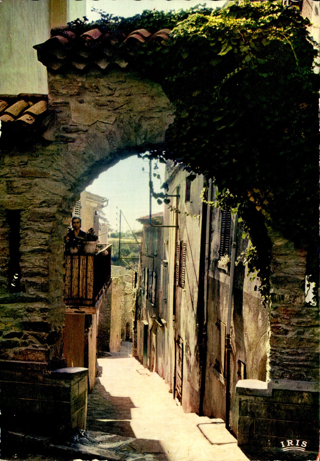 CPM Reflets de la Cote d'Azur Visage de Provence