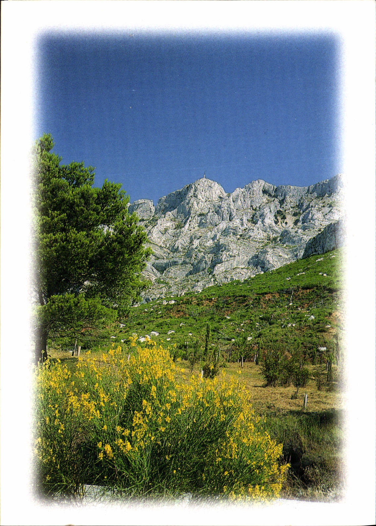 CPM La Provence et ses Charmes Aix en provence Montagne Sainte Victoire