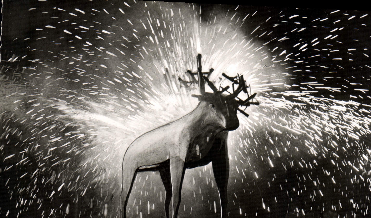 CPM Le Toros de Fuego Rejouissance Populaire