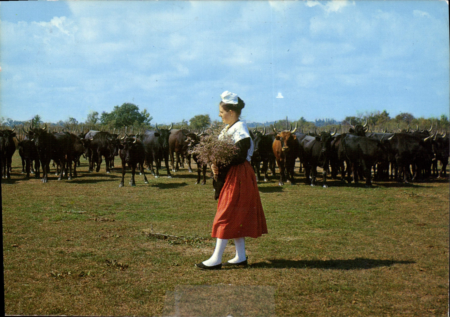 CPM Les Belles Images de Camargue Mireille Visitant sa Manade