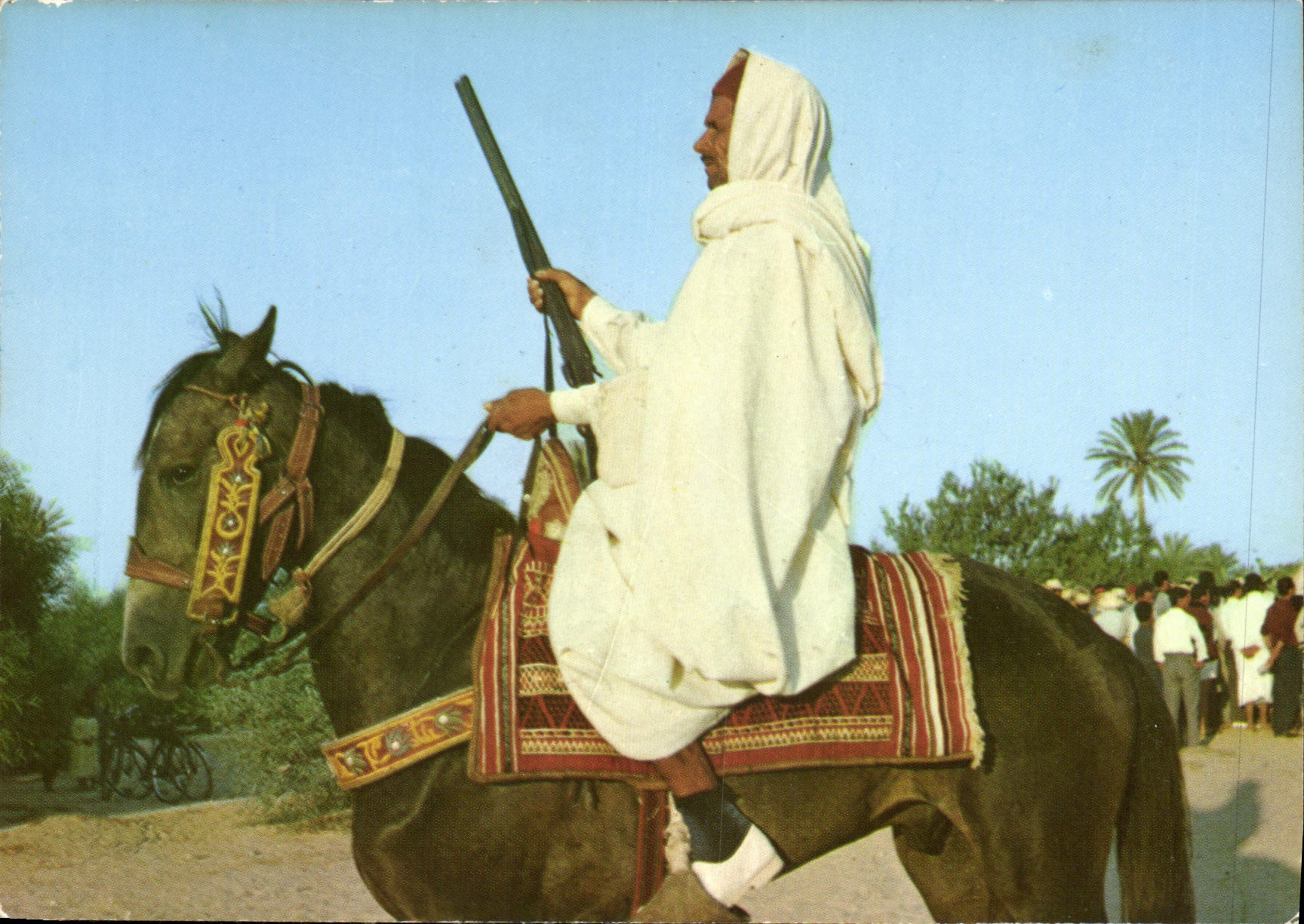 CPM Cavalier Zlass 