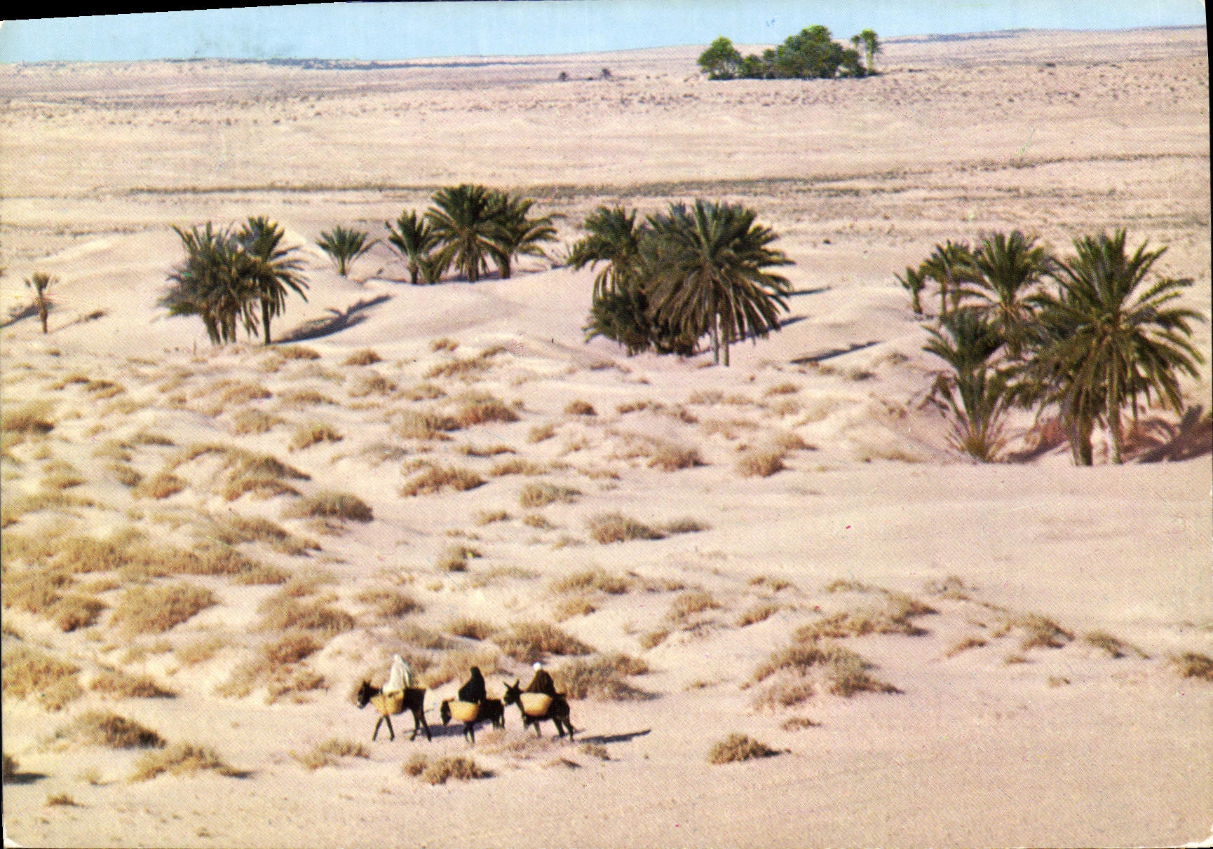 CPM Tunisie le Grand Sud 