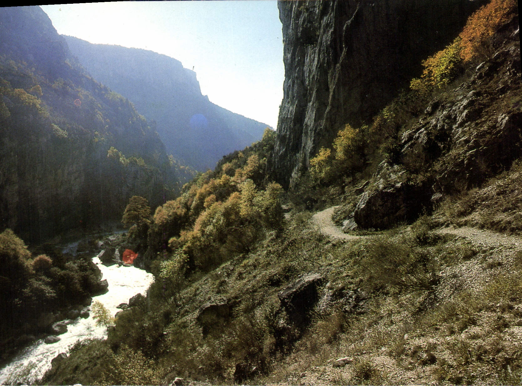CPM Les Gorges du Verdon Var Alpes de Haute Provence un des sites les plus grandioses du monde ici l