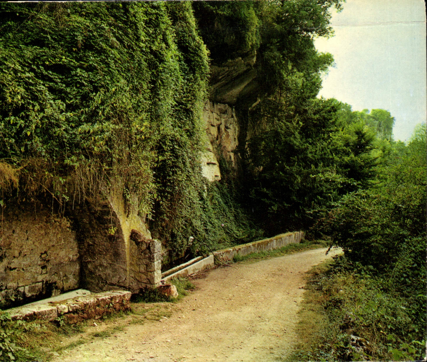 CPM Paysages de France Cereste Alpes de Haute Provence le Nid d'Amour