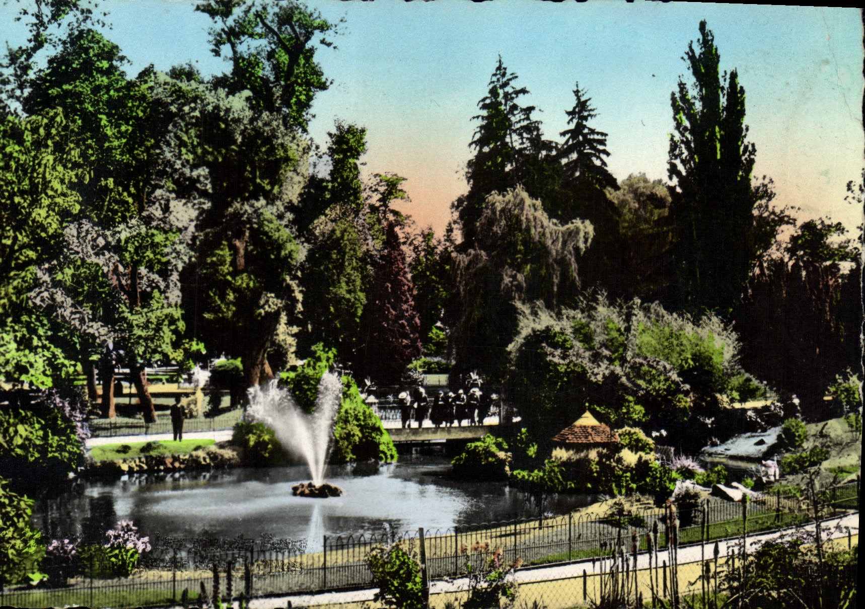 CPM Vichy Dans les Grande Parcs le Bassin des Cygnes 